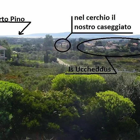 Giovanna * SantʼAnna Arresi